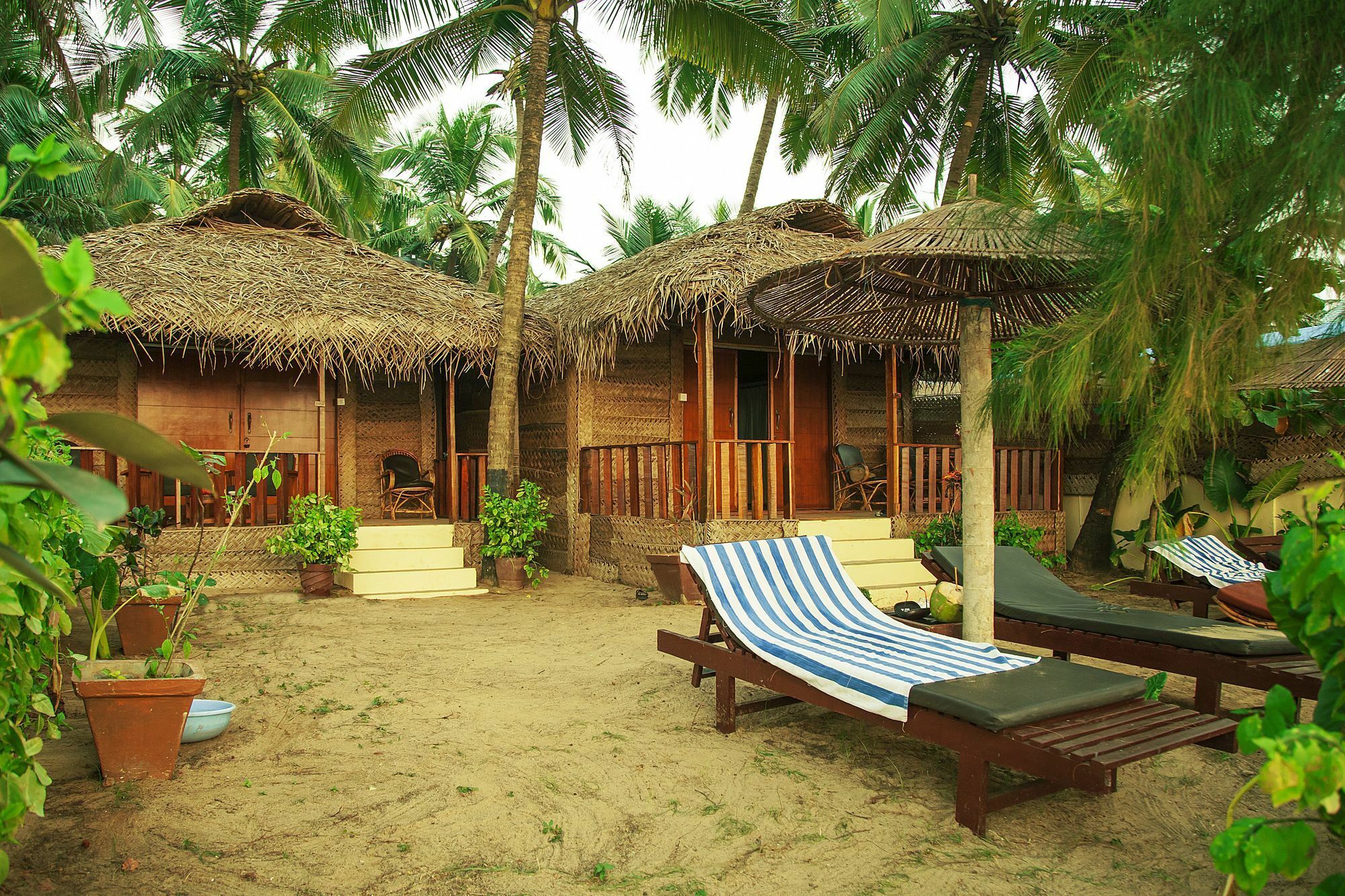 Mariposa Beach Grove Agonda Extérieur photo